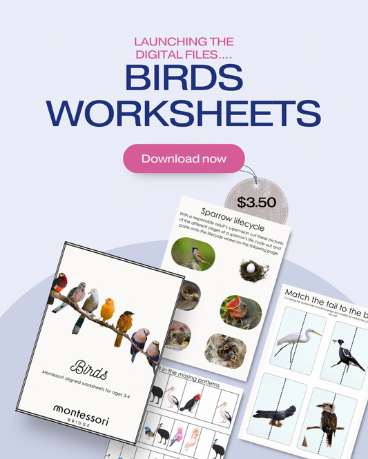 Australian Birds Montessori Printable Pack: Ages 3–4
