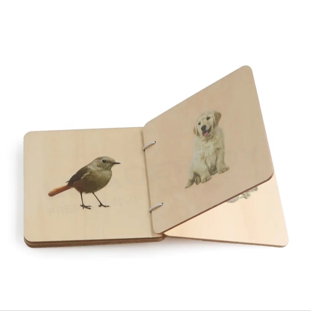 Montessori Wooden Picture Book